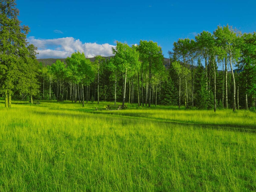 A green field depicting clean environment